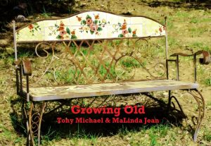 vintage-bench 2 - Copy